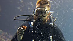 Un grupo de buceadores con un coral autocriado del proyecto World Coral Conservatory se reúne en el zoológico Burgers' Zoo de Arnhem (Países Bajos), el 22 de abril de 2024. 