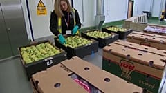Un agent britannique inspectant de la marchandise en provenance de l'UE