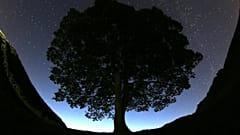 A beautiful view of the stars above Sycamore Gap prior to the Perseid Meteor Shower above Hadrian's Wall near Bardon Mill, England, August 2015.