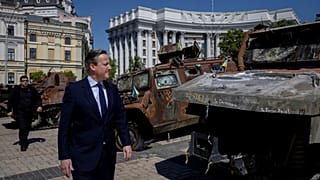 David Cameron Kijevben