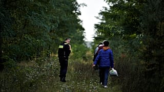 Az EU 2023-ban 1,14 millió nemzetközi védelem iránti kérelmet regisztrált.