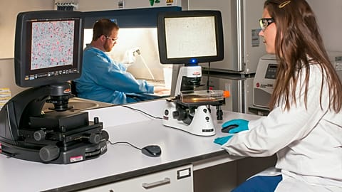 The health sector is divided over hospital exemption approach in new pharma rules.