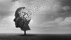 آلزایمر و زوال عقل