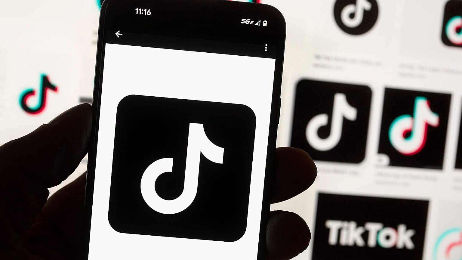 TikTok and its Chinese parent company ByteDance filed suit against the US federal government to challenge a law that would force the sale of ByteDance's stake or face a ban.