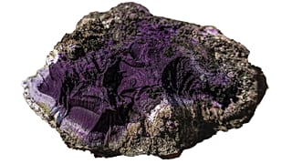توده ارغوانی امپراطوری