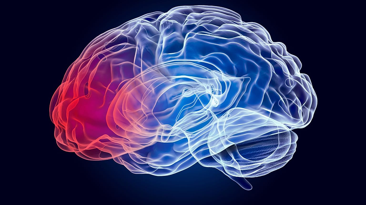 Desarrollan una vacuna de ARNm contra el cáncer cerebral agresivo