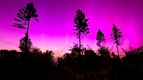 Northern lights appear in the night sky over the Pferdskopf near Treisberg in the Hochtaunus district of Hesse, Germany, early Saturday, May 11, 2024.
