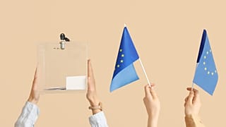 Aumenta la preocupación por la posibilidad de que actores extranjeros como Rusia o China intenten desestabilizar el proceso democrático en Europa en junio.