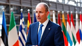 İrlanda Başbakan Yardımcısı ve Dışişleri Bakanı Micheal Martin