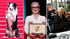 Excitement at Cannes mounts for heavyweight film titans like Francis Ford Coppola and David Cronenberg. 
