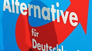 Alternative for Germany (AfD) party poster.