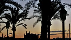 Palma de Mallorca. Archivo