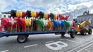 A tractor pulls a trailer filled with plastic cows prior to a protest of farmers outside of a meeting of EU agriculture ministers in Brussels, Monday, May 27, 2024.