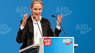 Alice Weidel, presidente federale dell'AfD, 25 maggio 2024
