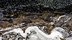 PAN Europe évoque la présence de polluants éternels dans des eaux de surface et souterraines dans 10 pays de l'UE