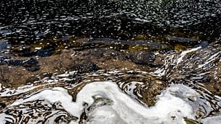 PAN Europe évoque la présence de polluants éternels dans des eaux de surface et souterraines dans 10 pays de l'UE