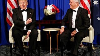 TRUMP TURBNULL