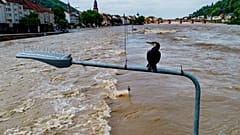 Il fiume Neckar è esondato a Heidelberg, in Germania (3 giugno 2024)