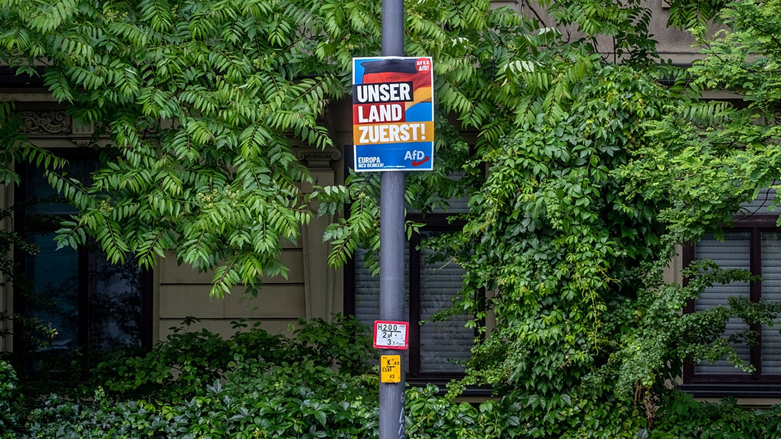 AfD-Wahlplakat für die Europawahl. Frankfurt 30. Mai 2024