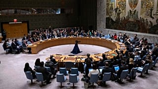 UN Security Council