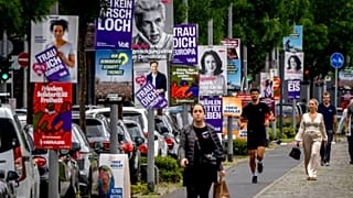 European Parliament elections