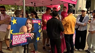 Вена. Последние партийные митинги
