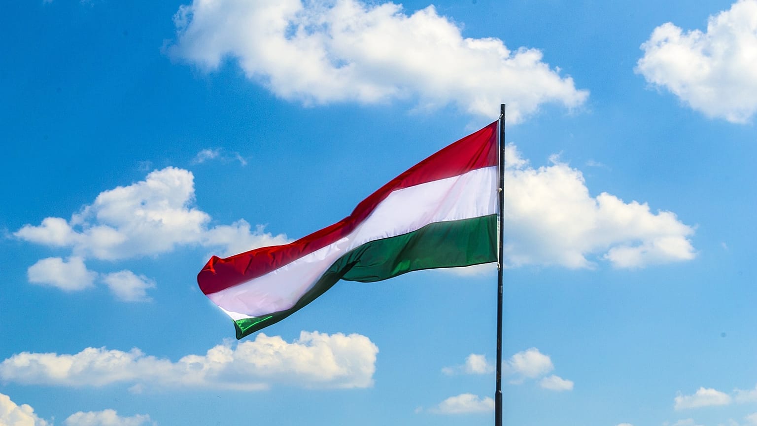 Le drapeau hongrois.