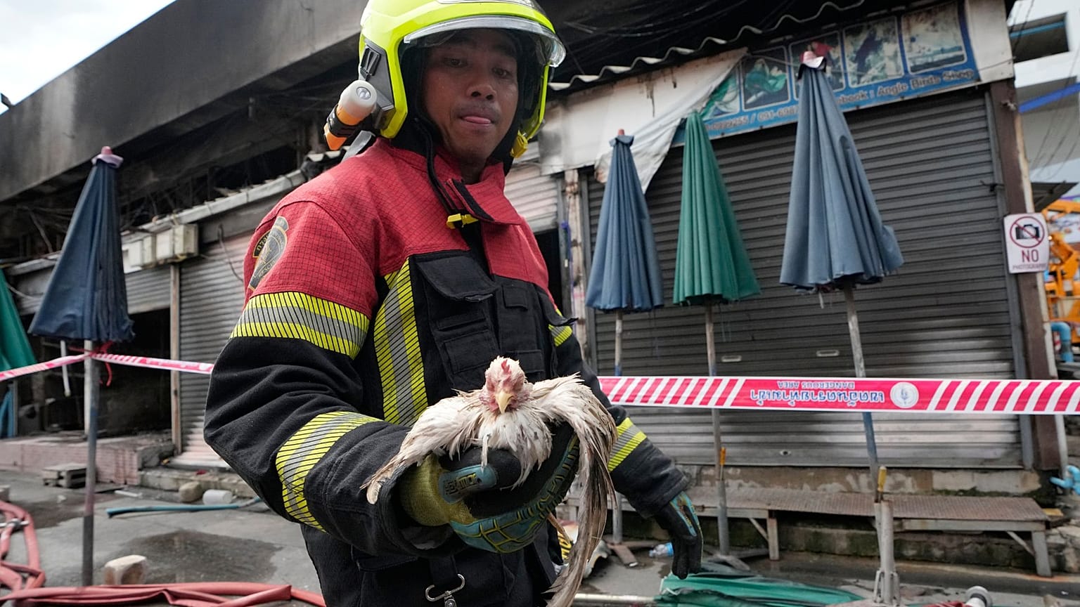 Um socorrista tailandês transporta uma galinha que sobreviveu a um incêndio no mercado de fim de semana de Chatuchak, em Banguecoque, Tailândia, a 11 de junho de 2024. 