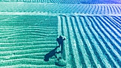 A worker turns coffee beans that are drying in the sun at the Santa Barbara farm in San Juan Alotenango, Guatemala, March 2022