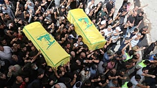 عکس تزئینی است