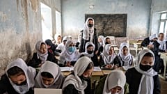 عکس تزئینی است