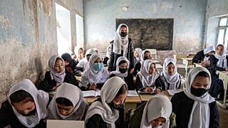 عکس تزئینی است