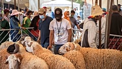 الناس يتجمعون لشراء الأغنام بمناسبة عطلة عيد الأضحى الإسلامية القادمة في سوق على مشارف الرباط، المغرب