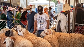 الناس يتجمعون لشراء الأغنام بمناسبة عطلة عيد الأضحى الإسلامية القادمة في سوق على مشارف الرباط، المغرب