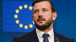 Environment Commissioner Virginijus Sinkevicius after an EU Council summit in March 2024 where haranged ministers for reneging on a Nature Restoration Law compromise