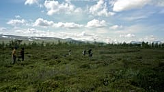 Magnus Skei Holmen, Bogwalk, 2024. Film still