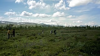Magnus Skei Holmen, Bogwalk, 2024. Film still