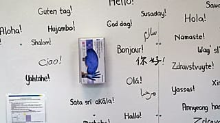 Greetings in multiple languages.