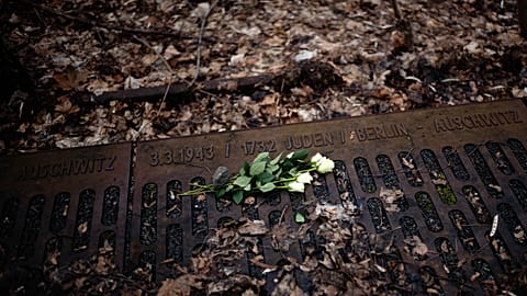 A white rose is placed at the 'Gleis 17', Track 17, the memorial site for the train transportation from Berlin to the camp, on International Holocaust Remembrance Day.
