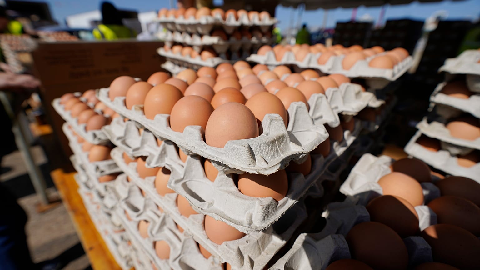 Les importations de sucre sont également dans le collimateur de l'exécutif européen, selon des experts commerciaux connaissant bien le sujet.