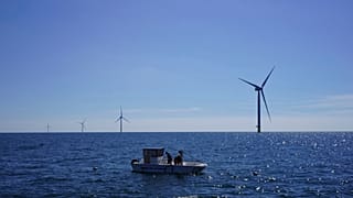 From a boat, workers check seaweed and mussels crops at Kriegers Flak offshore wind farm in the Baltic Sea, Denmark.