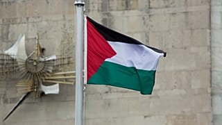 علم فلسطين خلال حفل في مقر الأمم المتحدة