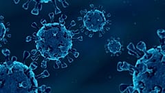 Forscher infizierten 36 Menschen mit dem Virus, das COVID-19 verursacht, um herauszufinden, warum einige Menschen dem Virus zu entkommen scheinen. Die Antwort lag in ihrem Immunsystem. 
