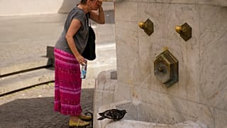 Καύσωνας πλήττει το Βελιγράδι