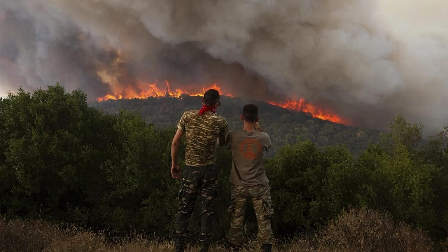 Yunanistan'ın Evros bölgesi, 23 Ağustos 2023. 