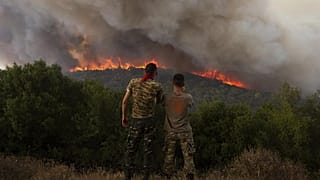 Yunanistan'ın Evros bölgesi, 23 Ağustos 2023. 
