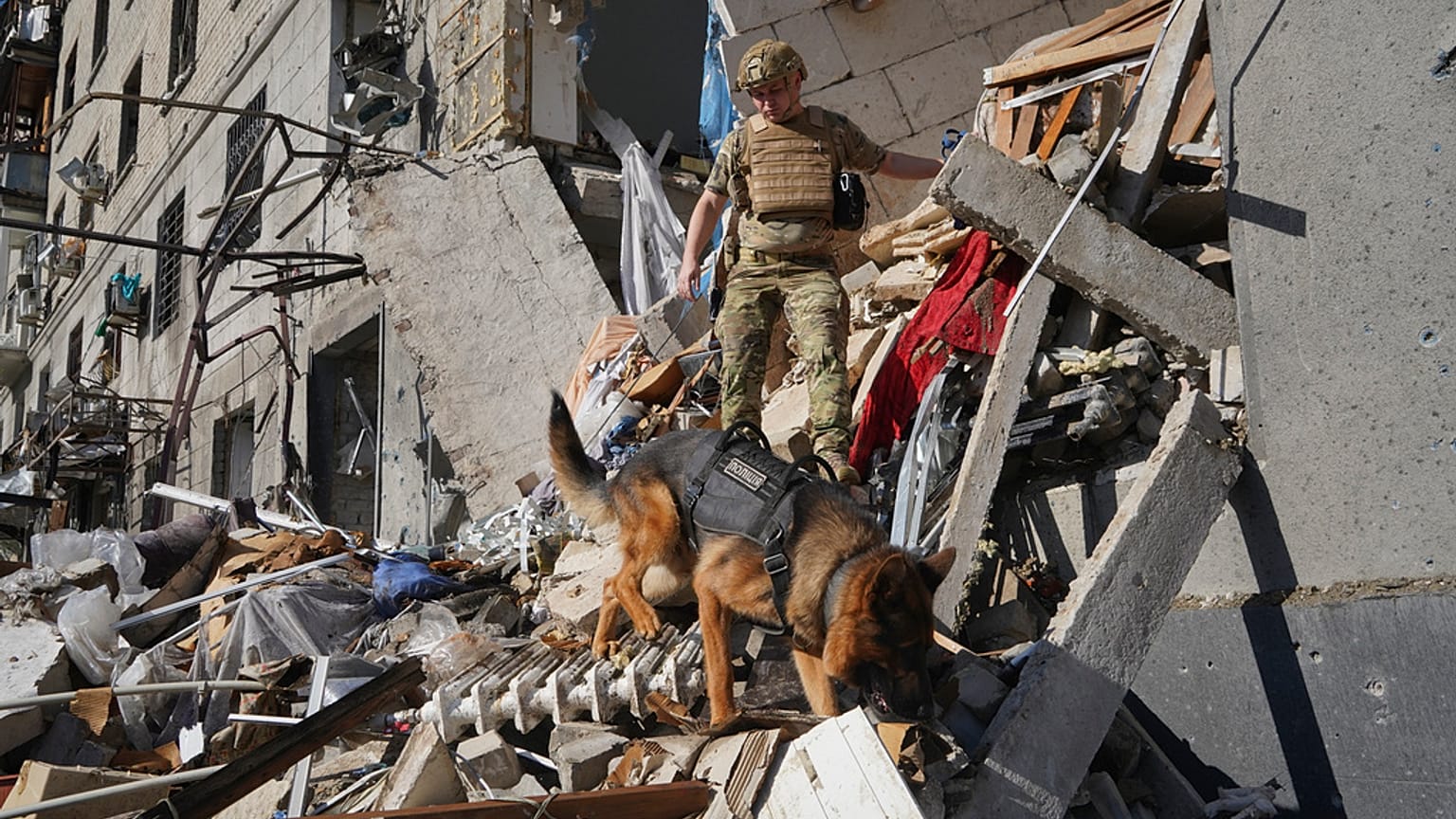 Un secouriste accompagné d'un chien recherche des victimes dans un immeuble d'habitation endommagé par un bombardement aérien russe à Kharkiv, en Ukraine, le samedi 22 juin 2024. 