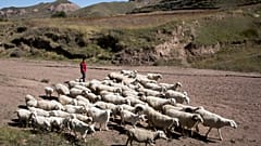 صورة من الأرشيف