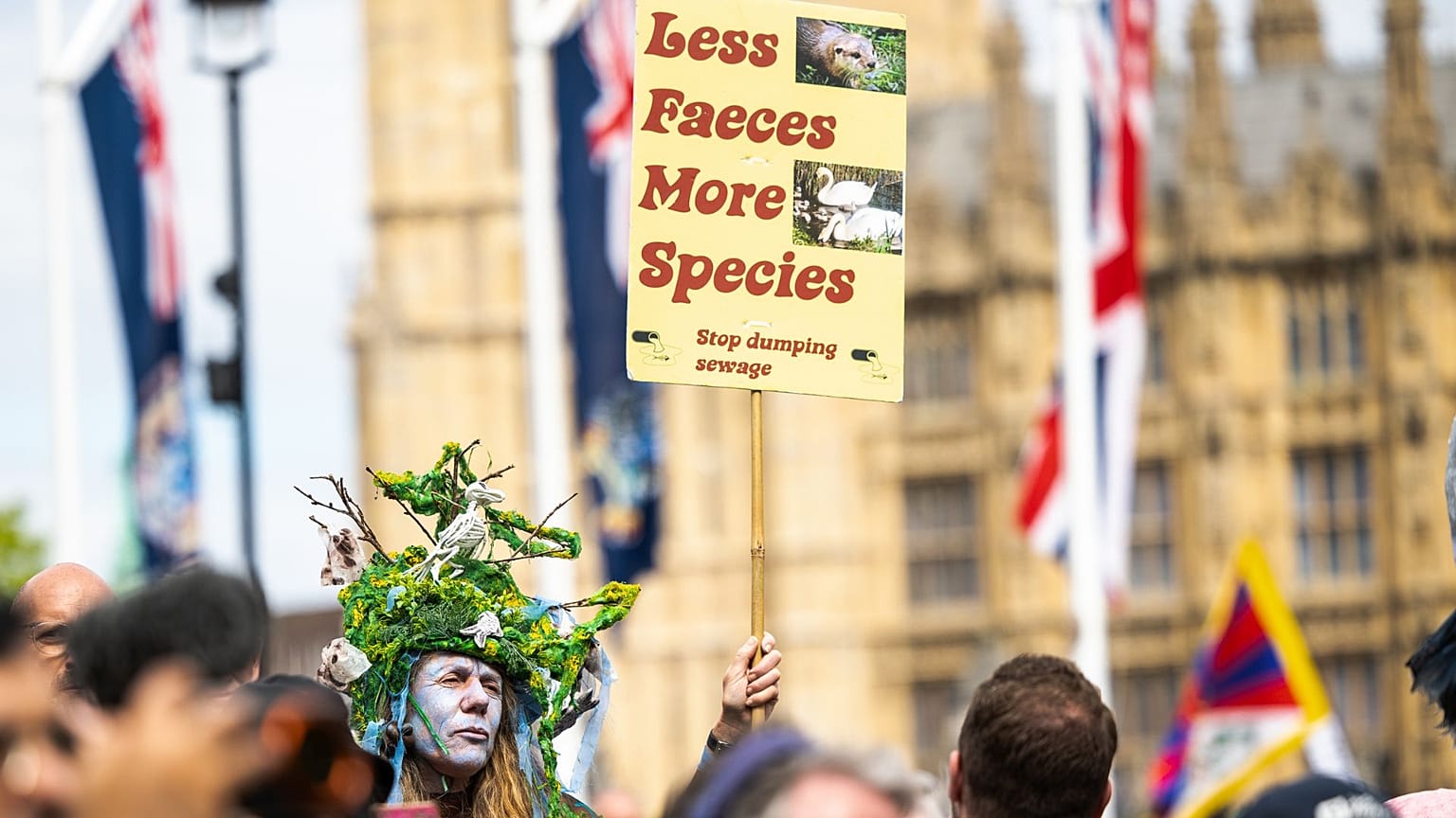 A protestor holds a placard reading 'Less faeces, more species' at the Restore Nature Now rally in London, June 2024.