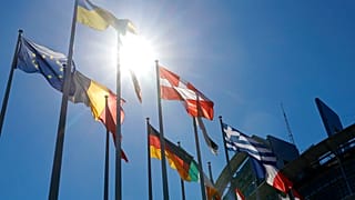 Ukrayna bayrağı, üstte, Fransa'nın Strasbourg kentindeki Avrupa Parlamentosu'nun dışında diğer Avrupa bayraklarıyla birlikte dalgalanıyor